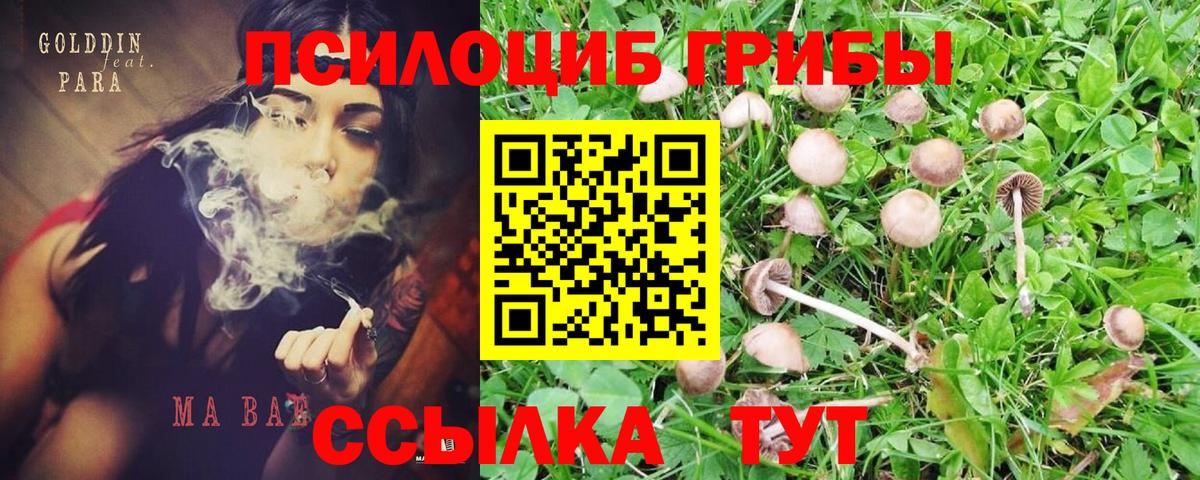 Псилоцибиновые грибы GOLDEN TEACHER  Вход с VPN  Чайковский 